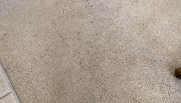 how to remove old stains from carpet